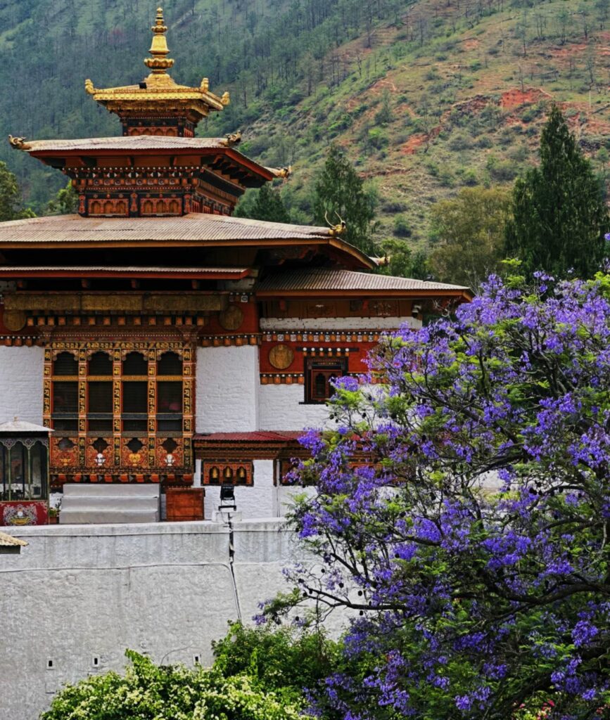 punakha dzongchu